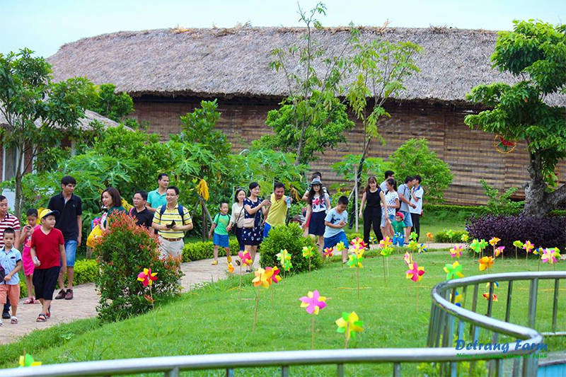 Detrang Farm - Nông trại giáo dục đầu tiên cho trẻ không gian phát triển toàn diện 