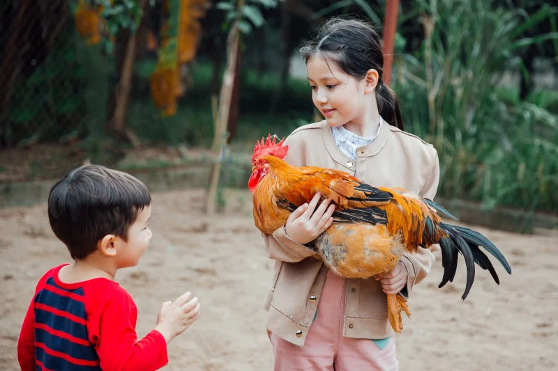 Ngày hội gia đình “Du hành tuổi thơ”