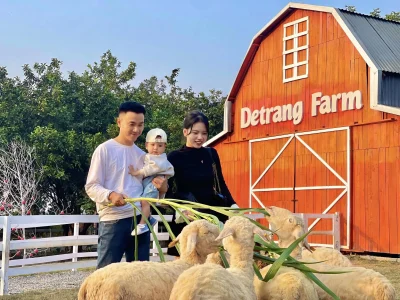 Ngày hội gia đình chủ đề A