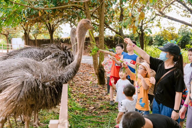 Ngày hội gia đình “Du hành tuổi thơ”